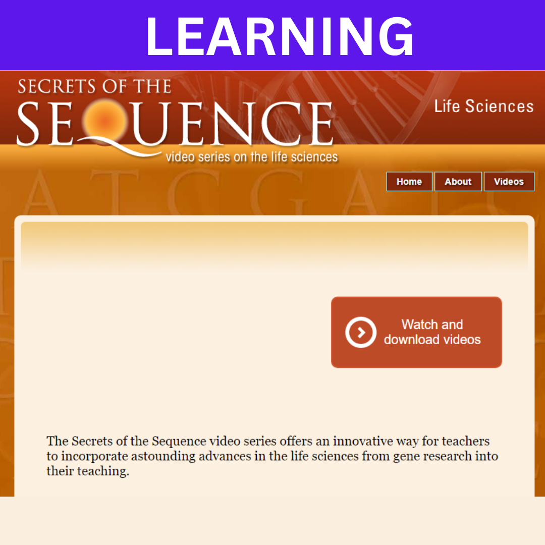 Secrets of the Sequences
